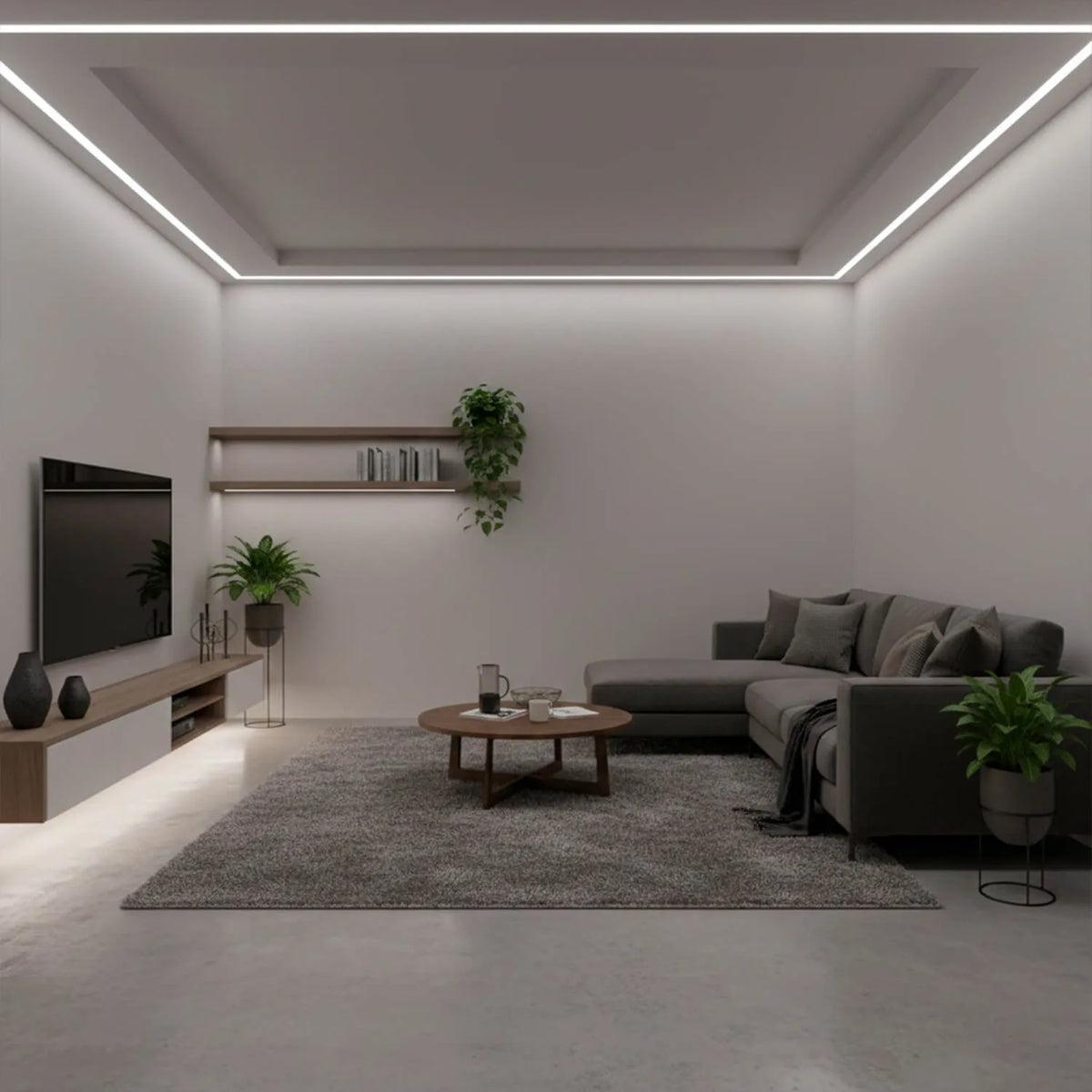 Cinta LED COB 12V 5M