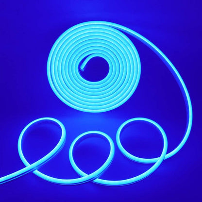 Cinta LED Neón 12V 5 Metros Want
