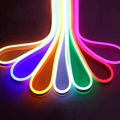 Cinta LED Neón 12V 5 Metros Want