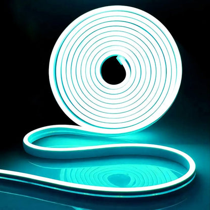 Cinta LED Neón 12V 5 Metros Want