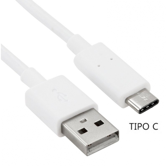 Cable Tipo C 10A